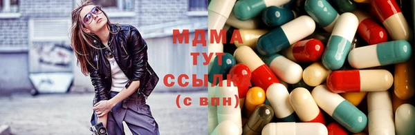 индика Беломорск