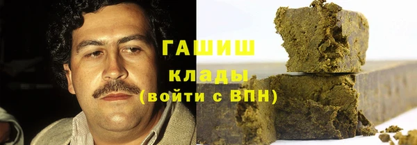 индика Беломорск