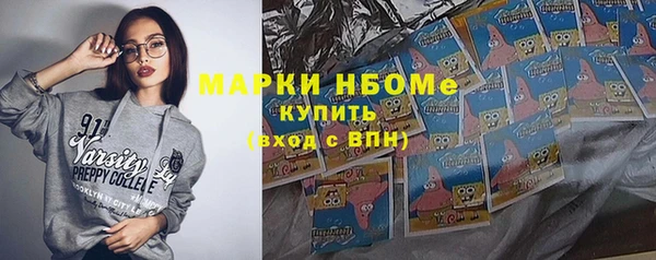 индика Беломорск