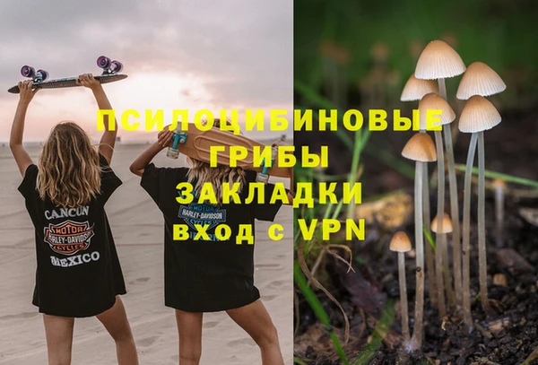 индика Беломорск