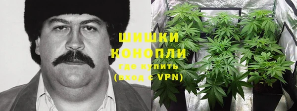 ПСИЛОЦИБИНОВЫЕ ГРИБЫ Белоозёрский